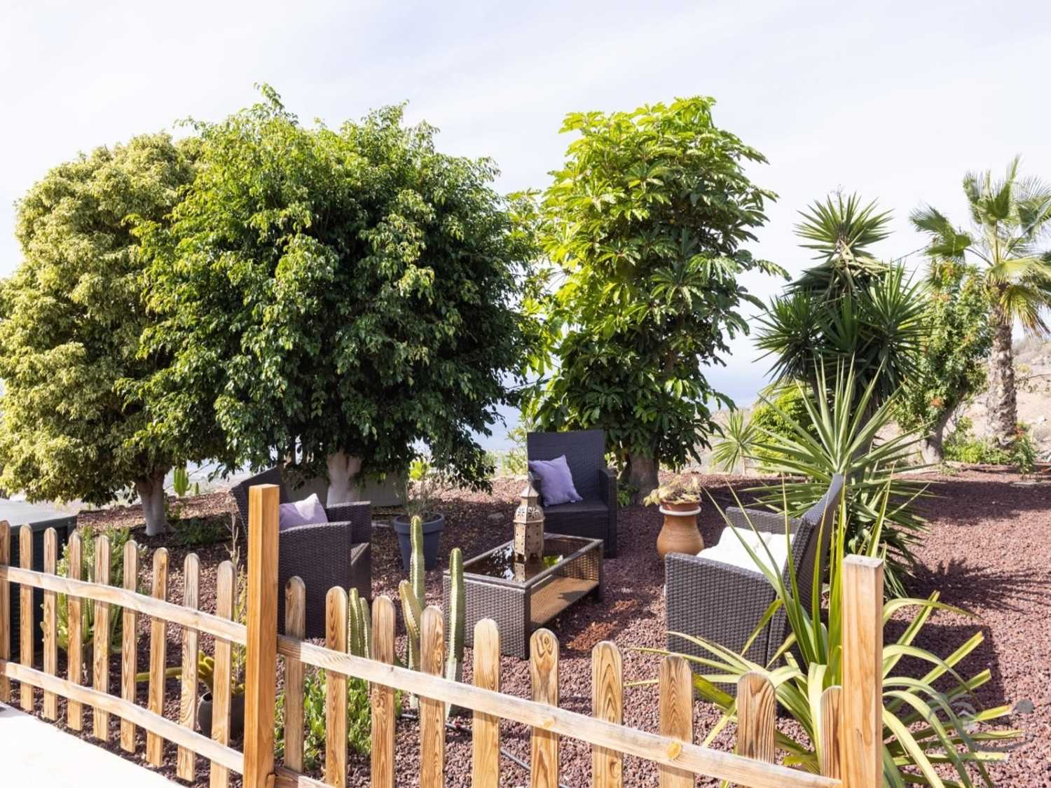 Meerblick Teneriffa Urlaub Las Americas Wintergarten und Terrasse