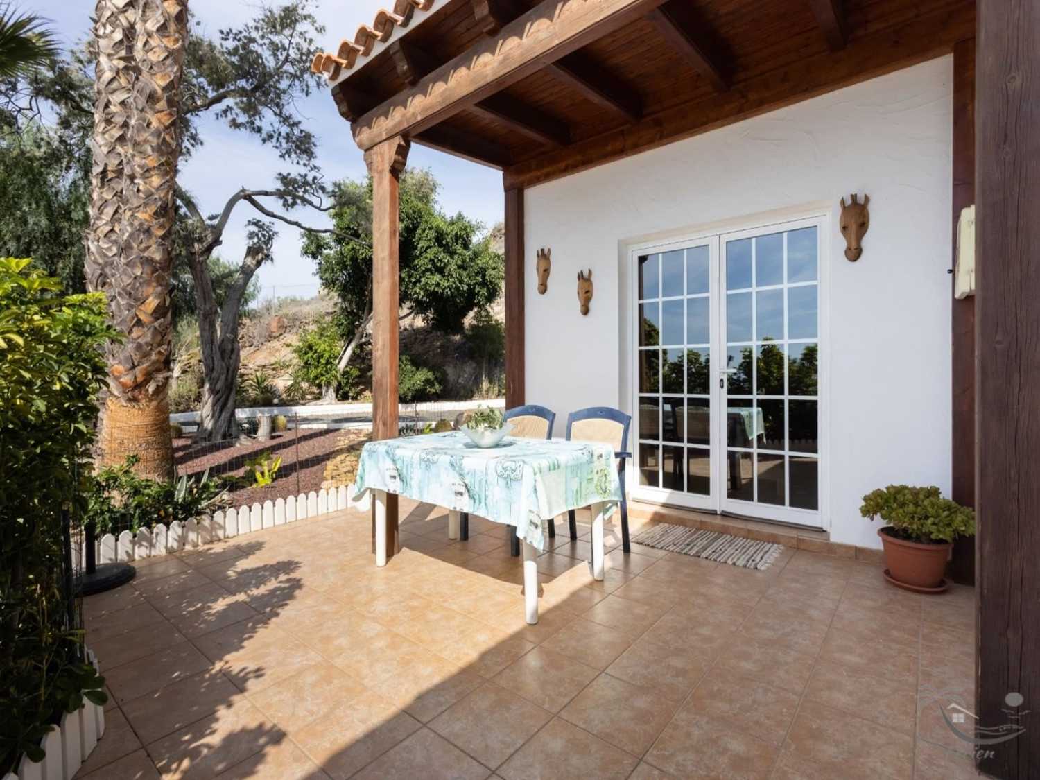 Meerblick Teneriffa Urlaub Las Americas Wintergarten und Terrasse