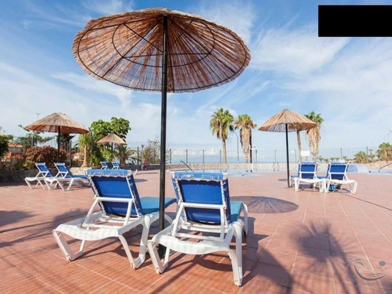 Urlaub Ferien Teneriffa Meer Pool Strand