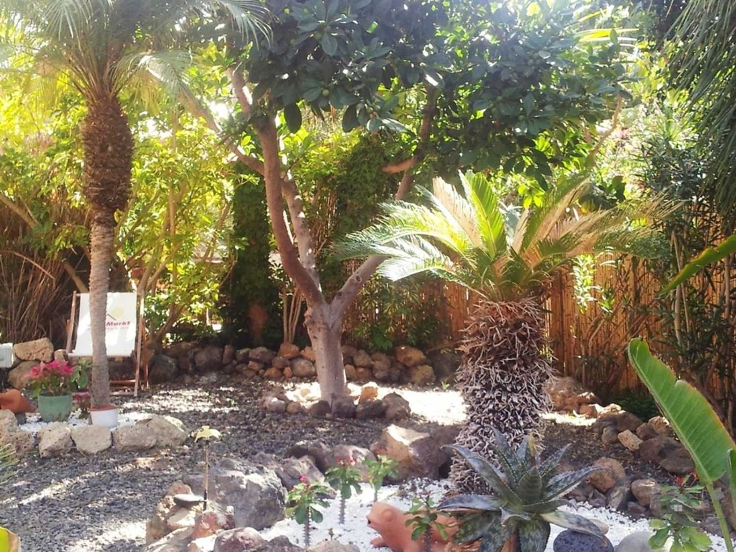 Urlaub Meerblick Teneriffa Süd Pool Finca Ferien