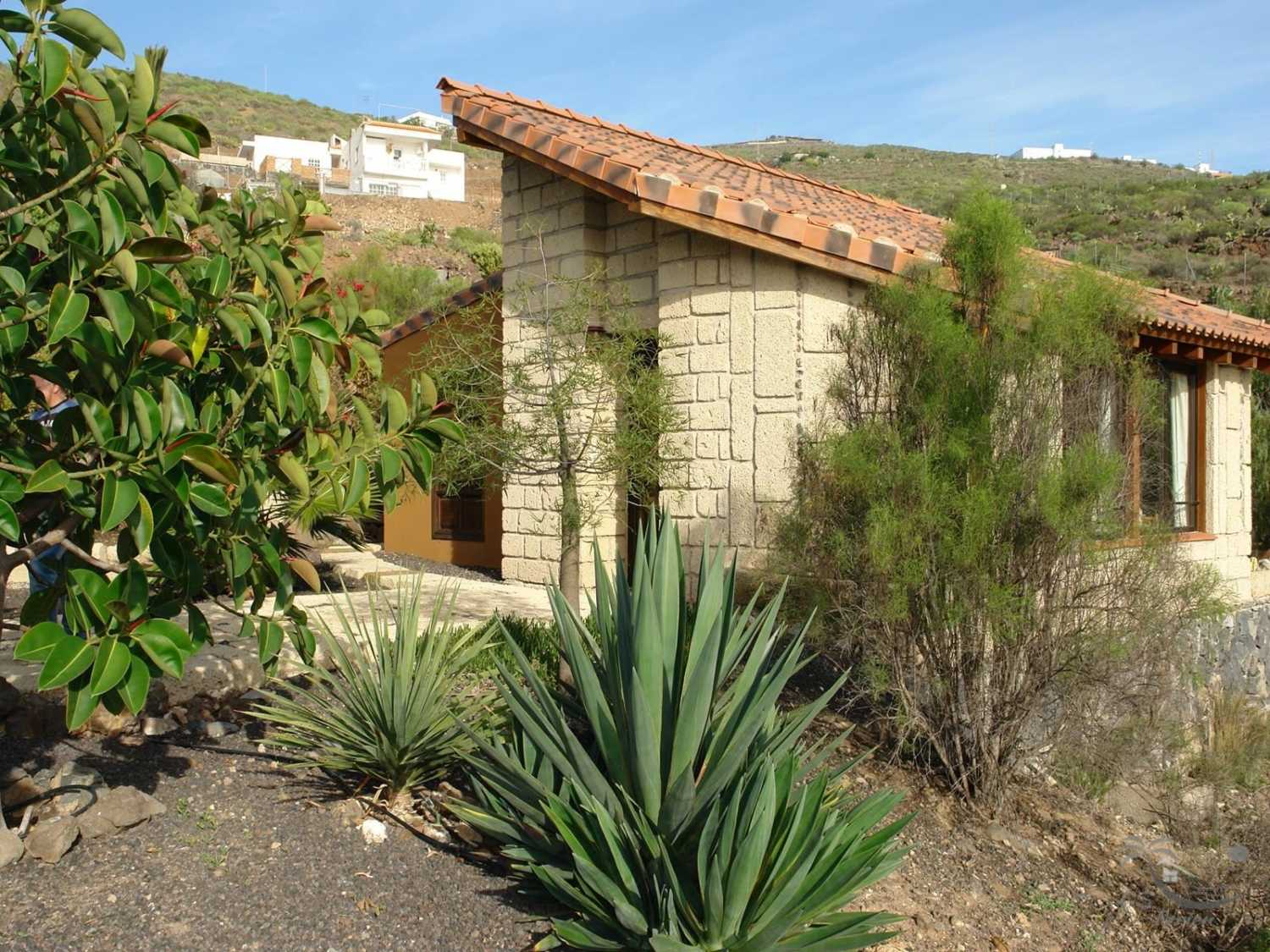 Ferienwohnung Ferienhaus Finca Meer Teneriffa Urlaub Ferien Sonne Strand